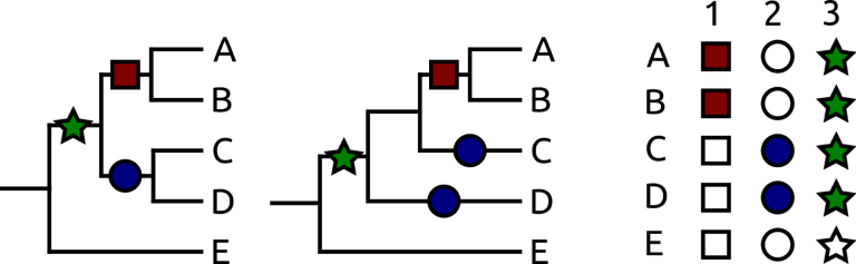 Garwood Figure_04.png