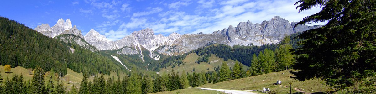 Image of a snow-capped mountain range and forest