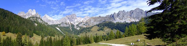 Image of a snow-capped mountain range and forest