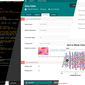 Image showing stages of web service (code, admin, browser)