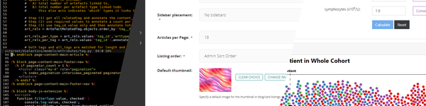 Image showing stages of web service (code, admin, browser)